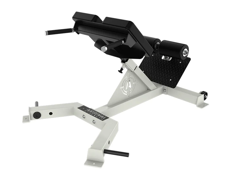 ALPHA 45 DEGREE BACK EXTENSION - Titangymtools