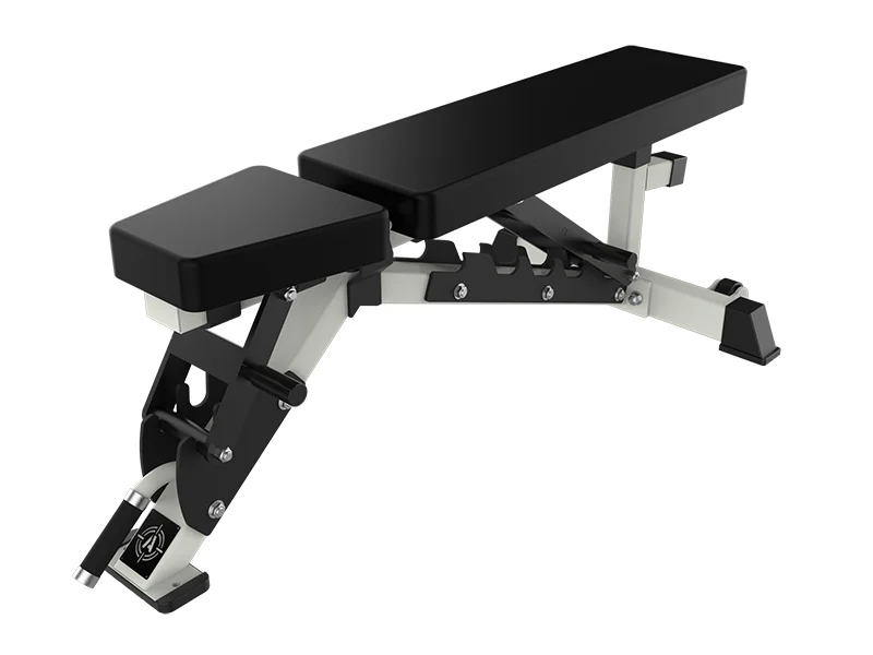 ALPHA MULTI ADJUSTABLE BENCH-LADDER STYLE - Titangymtools