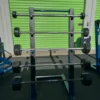 Legend Fitness Barbell Rack w Troy Barbells | SRS Gym Solutions