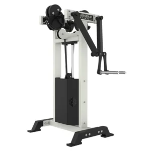M1 SELECTORIZED STANDING LATERAL RAISE - Titangymtools