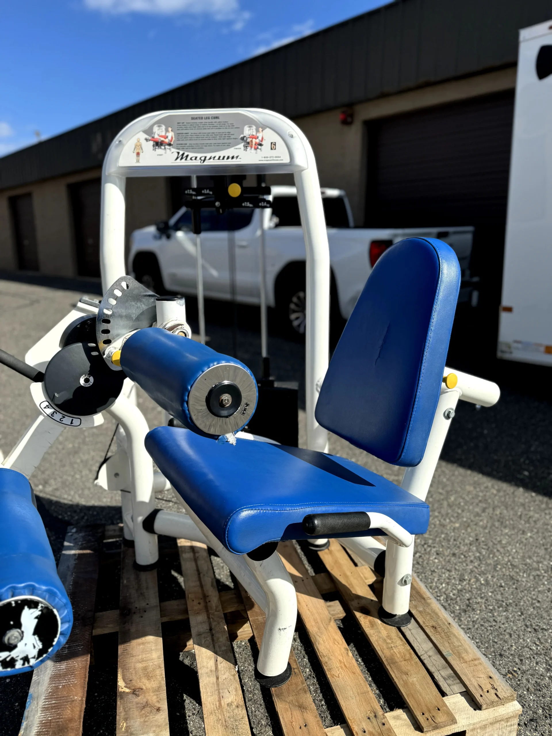 Magnum Leg Curl | SRS Gym Solutions