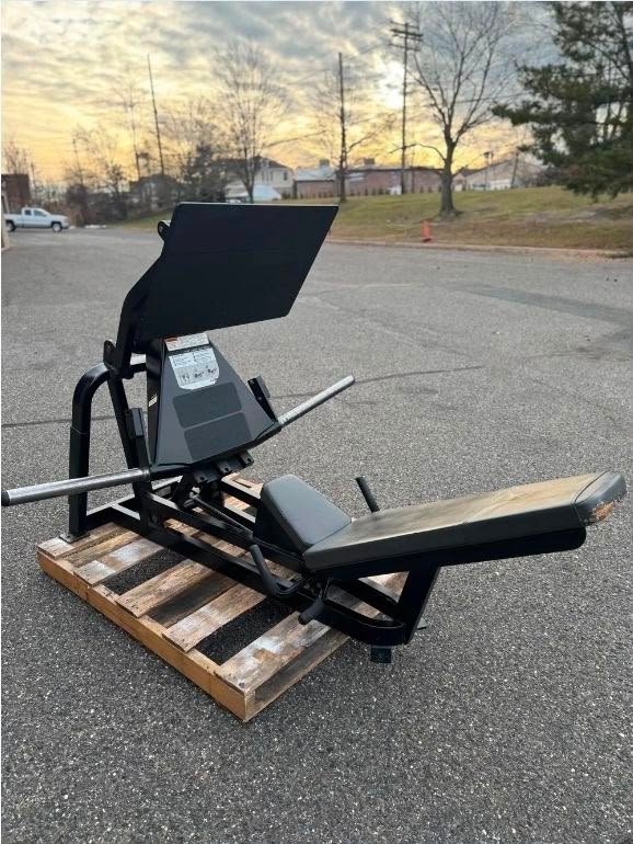 Cybex squat press - Image 2