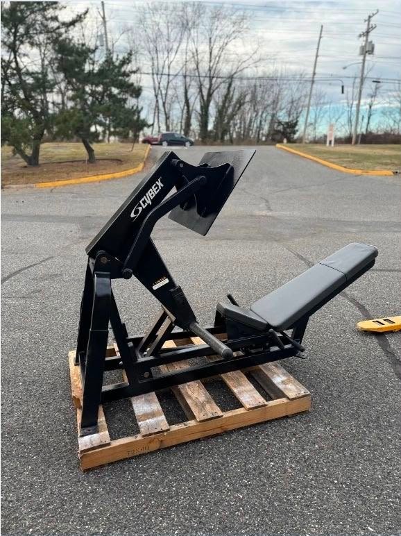 Cybex squat press - Image 7