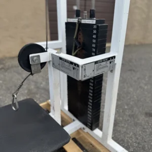 Alternative view of Flex Low Row